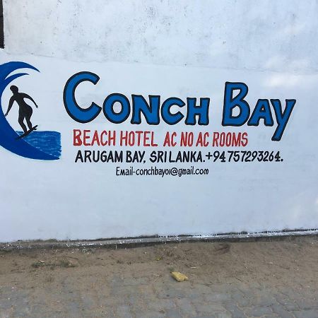 阿鲁甘湾 Conch Bay酒店 外观 照片